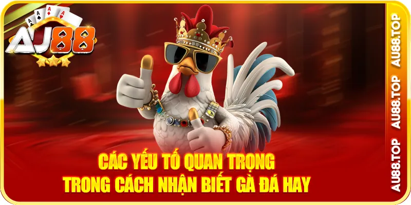 Các yếu tố quan trọng trong cách nhận biết gà đá hay