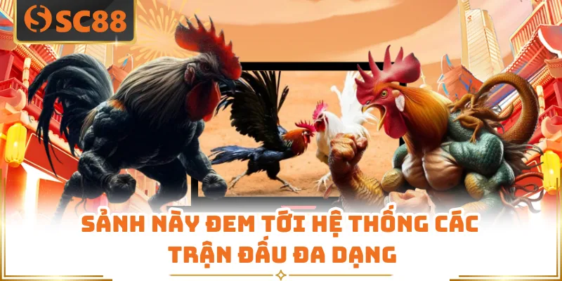 Sảnh này đem tới hệ thống các trận đấu đa dạng